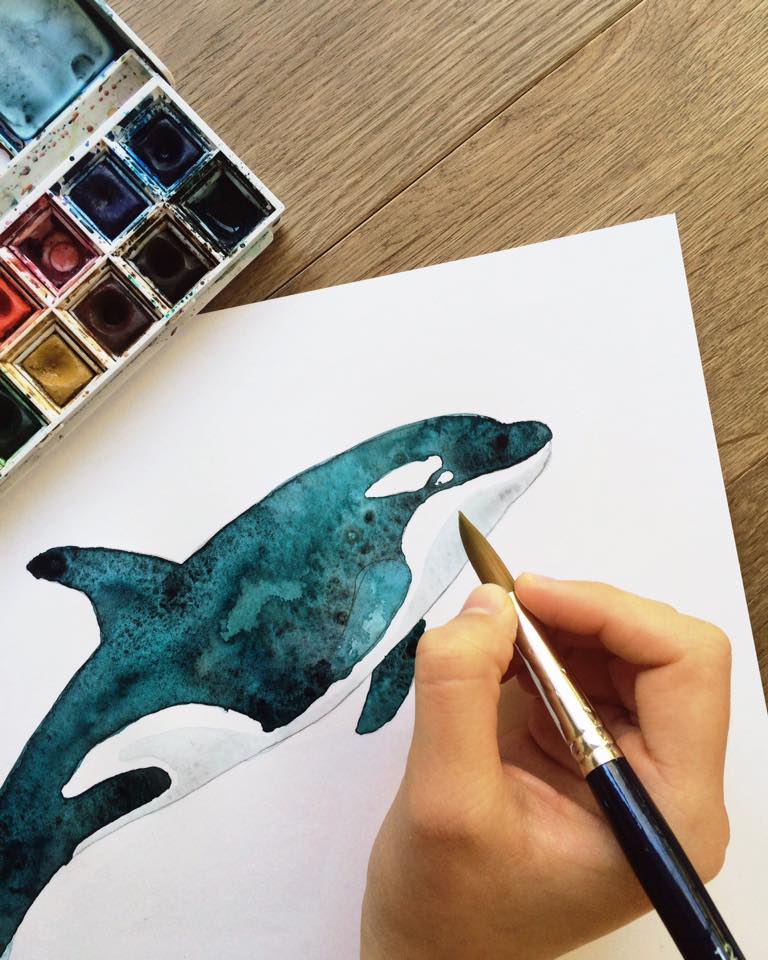 lore-illustration-killer-whale-maow-design-blog